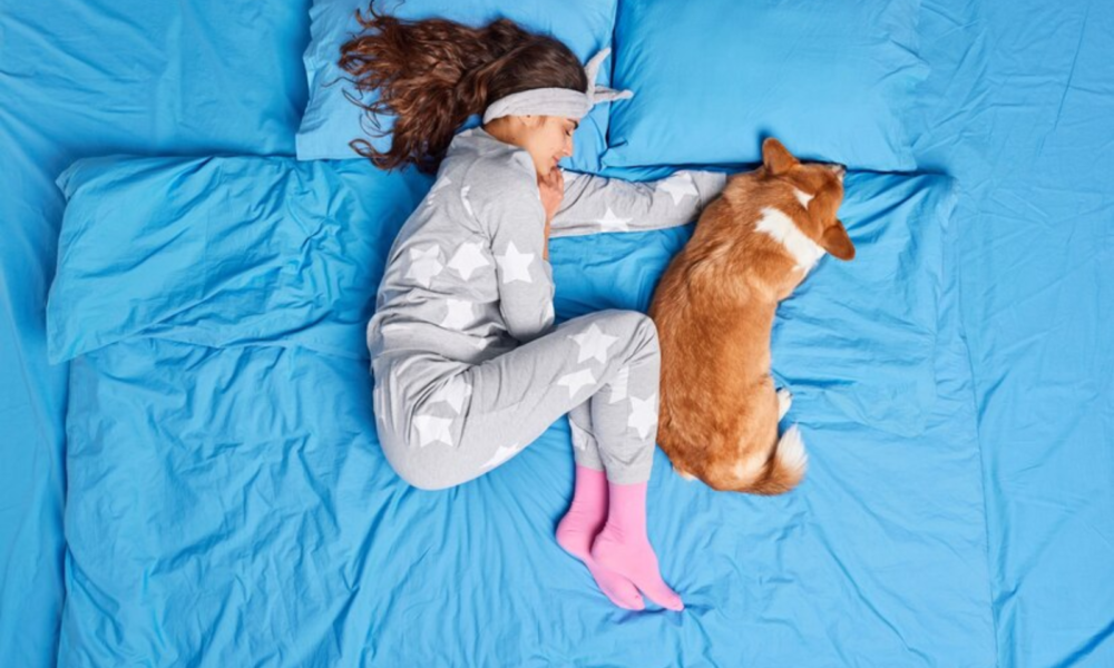 Do Your Pets Sleep In Your Bed Here’s What You Need To Know!